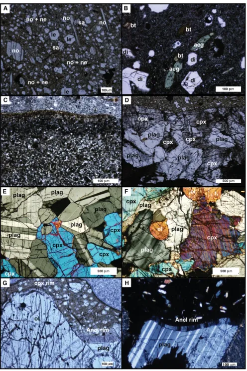 Figure 2. Photomicrographs of host lavas and xenoliths from Cape Verde.