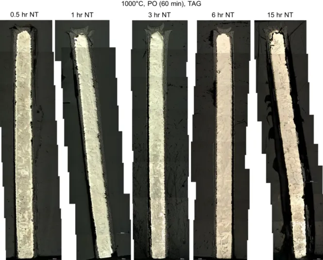 Fig  3.25  Post-test  vertical  micrographs  of  the  tests  at  1000°C  from  Setaram  TAG  system (with PO = 60 min and NT) 