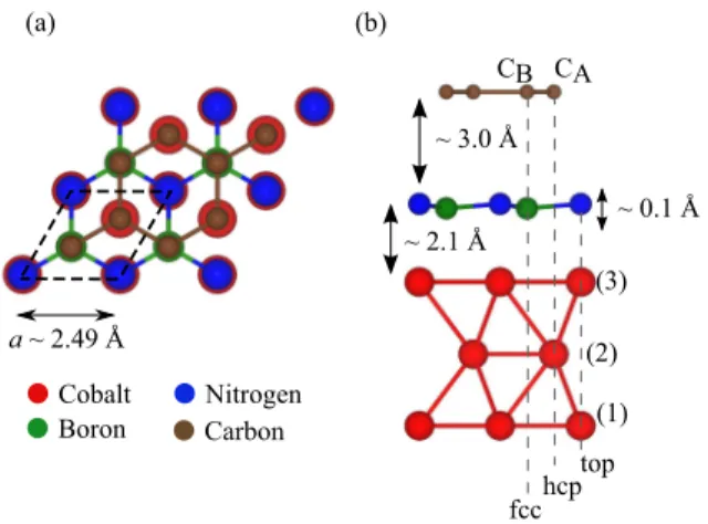 FIG. 1. Structure of the graphene/hBN/Co system, with labels for the different atoms. (a) Top view of the structure, with one unit cell emphasized by the dashed line