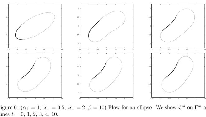 Figure 6: (α ± = 1, κ − = 0.5, κ + = 2, β = 10) Flow for an ellipse. We show C m on Γ m at times t = 0, 1, 2, 3, 4, 10.