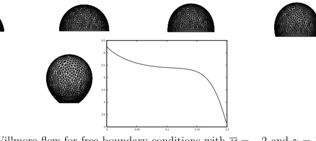 Figure 23: (θ = 0) Willmore flow for free boundary conditions with κ = − 2 and γ = 1.
