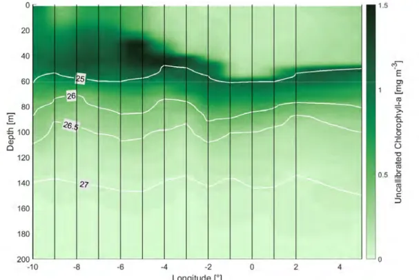 Fig.  3:  Fluorescence  measurements  at the  CTD  show  variable  chlorophyll  concentrations  along  the  equator (Peter Dennert)