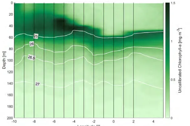 Abb.  3:  Fluoreszenz-Messungen  an  der  CTD  zeigen  unterschiedliche  Chlorophyll-Konzentrationen  entlang  des  Äquators  an