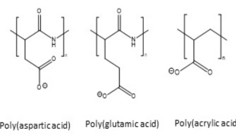 Fig. 2.4: Polyanions investigated as inhibitors of renal CaOx crystallization. Poly(acrylic acid) showed  enhanced potency to reduce CaOx growth rates compared to poly(glutamic acid) and poly(aspartic  acid) in vitro, as well as in vivo efficacy 100,104 