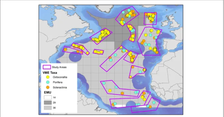 FIGURE 5 | EMUs were compared to species-based biogeographic clusters of vulnerable marine ecosystems (VMEs) in the North Atlantic