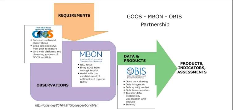 FIGURE 1 | The GOOS-MBON-OBIS collaboration relies on the global framework for ocean observing as a model for a global system integrating marine biology and biodiversity with other types of ocean observations (Benson et al., 2018).