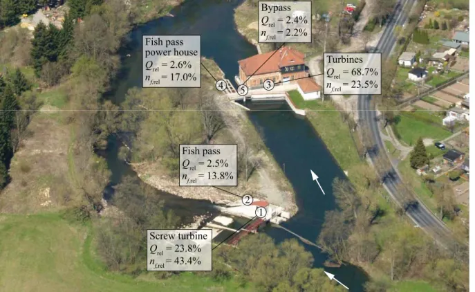 Fig. 3.10: Downstream passage corridors at HPP Walkmühle with the relative usage (n f,rel ) and the corresponding discharge distribution (Q rel ; Photo: LaNaServ, K