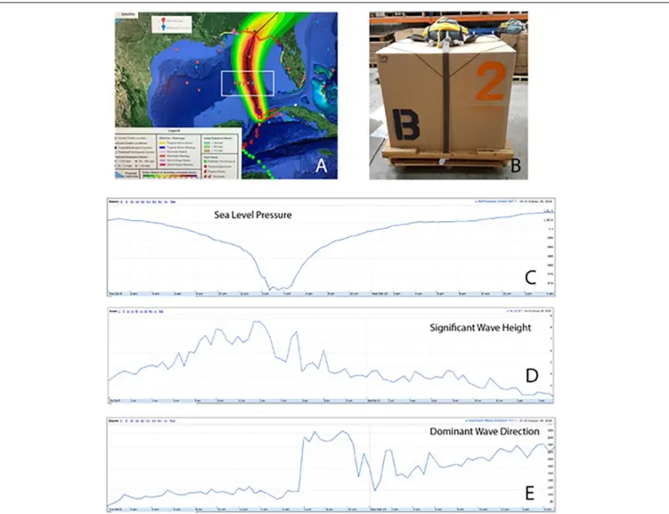 FIGURE 5 | (A) Deployment location of 10 drifters ahead of Hurricane Michael (white box)