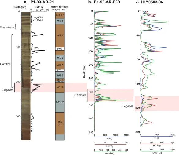Figure 5. Typical stratigraphy and micropaleontology seen in three Arctic cores showing the location of several key marker beds modi ﬁ ed from Cronin et al