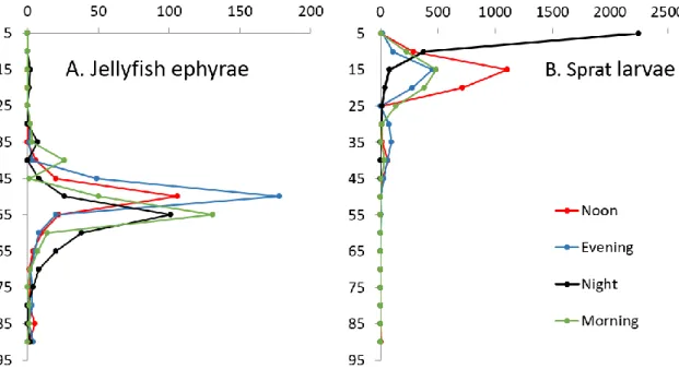 Figure  5.1.1  Depth  distribution  of  A.  jellyfish  ephyrae  (Cyanea  capillata)  and  B
