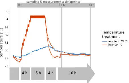 Figure 4 Temperature profiles (°C) were measured in the two duplicated treatments, i.e
