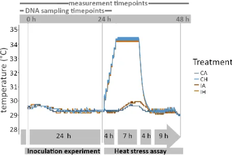 Figure 6 Temperature profiles (°C) measured over the course of the microbiome transplantation experiment