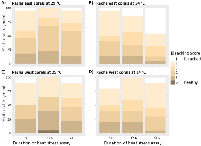 Figure 7 Bleaching score over the duration of the heat stress assay (heat = 34 °C, ambient = 29 °C) comparing the  response between coral Pocillopora spp