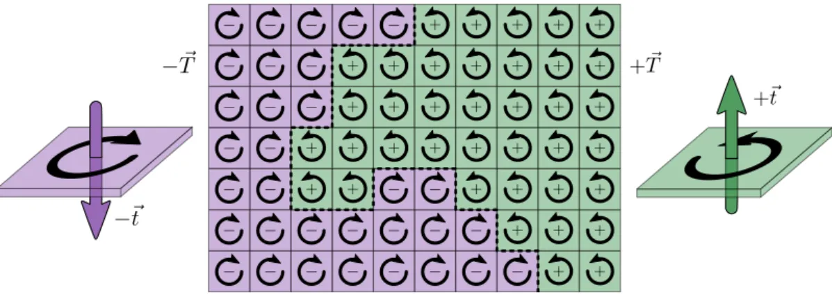 Figure 2.8: Ferrotoroidic domain structure. Sketched are 10 × 7 unit cells, each containing a toroidal moment (+~t, − ~t) from a vortex arrangement of magnetic moments (black circular arrows)