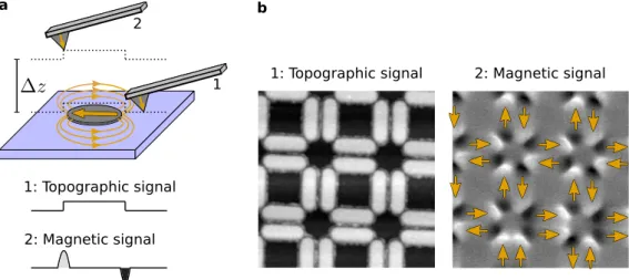 Figure 3.5: Magnetic force microscopy in the lift-height or double-pass mode. a, In the ﬁrst pass, the system probes short-range forces to map the samples topography
