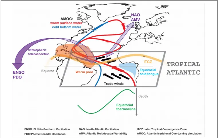 FIGURE 3 | Schematic of the key components for understanding tropical Atlantic variability.