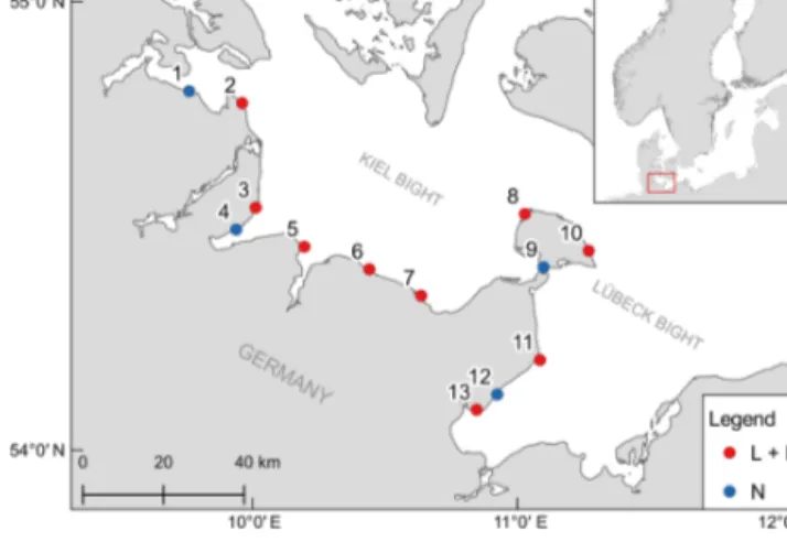Figure 1. Geographical position of the 13 monitoring stations. Col- Col-ors indicate if only samples for dissolved inorganic nutrients were taken (N) or if a logger station was also deployed (L + N).