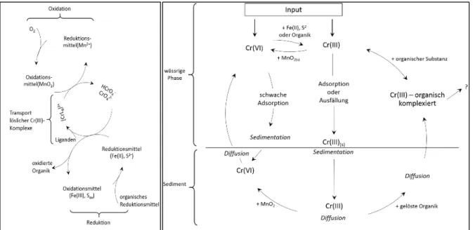 Abbildung 3: Chromkreislauf; links: zwischen Reduktion und Oxidation und Eisen und Mangan (adaptiert von Kota ś und Stasicka (2000)); rechts: im aquatischen System (adaptiert von Richards und Bourg(1991)) 