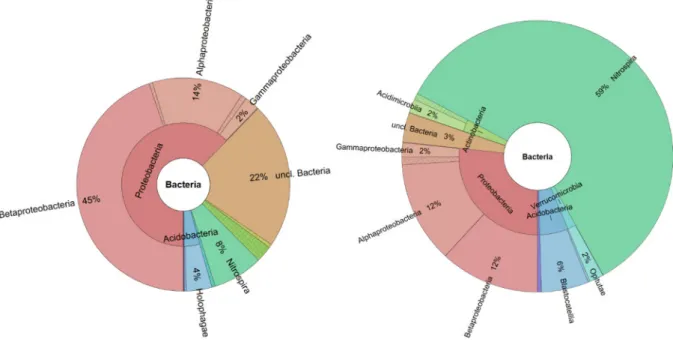 Abbildung 8: Verschiedene Bakterienklassen bestimmt anhand von DNA Sequenzen während der Einfahrphase der  Anlage im November 2016; links: aus Rückspülschlamm der Enteisenungsstufe; recht: aus Rückspülschlamm der  Ent-manganungsstufe (Fretschner 2017 unpub