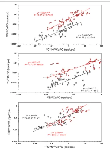 FIGURE 6 | Power regressions between the 12 C 14 N − / 40 Ca 16 O − and