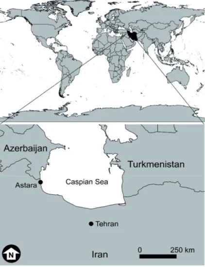 Figure 1.  Location  map  of  the  Astara port on the Western Iranian  coast  of  the  Caspian  Sea,  place  where the current study was  devel-oped.