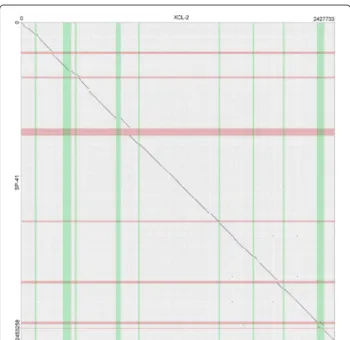 Fig. 2 Dotplot representation of the alignment of the genomes of Hydrogenovibrio crunogenus XCL-2 and Hydrogenovibrio sp