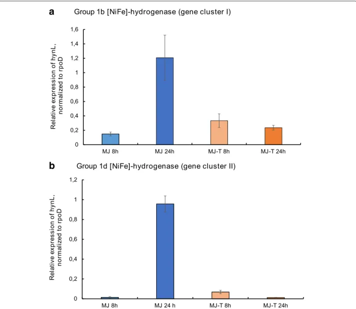 Fig. 3 Expression of SP-41’s hydrogenase genes under different cultivation conditions