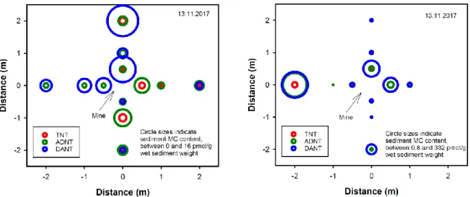 Figure 11: Examples of MC content in surface sediments collected radially around individual munitions