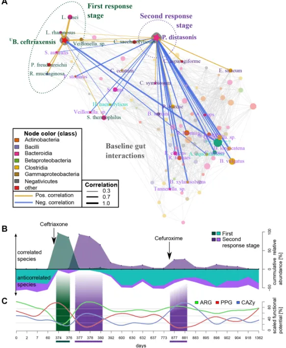 Figure 4  Microbial responses to antibiotics are reflected in their co-occurrences. (A) Patient-specific (subject HD.S1) species association network  for 24 time points