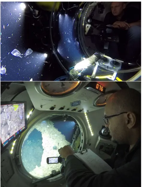 Figure 5. Front view into manned submersible JAGO while drifting through a cloud of Phronima  amphipods (top), inside view of the submersible with survey camera mounted in JAGO’s front  window during a bottom survey along the steep slopes of Santo Antao (b