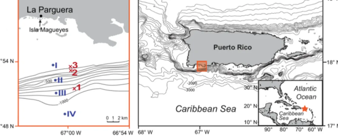Figure 1. Location of the study area in southwestern Puerto Rico (Caribbean Sea). The red crosses mark the plankton net stations of this study (1–3; 2012) and the blue dots mark the plankton net stations of Schmuker (2000b; I–IV; 1994/1995; see Table 1)