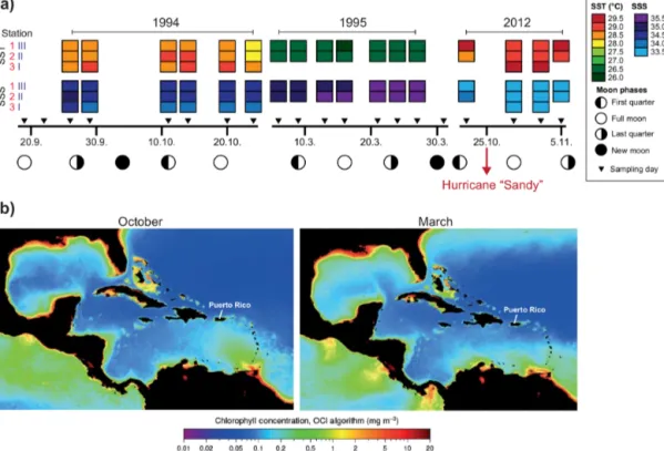 Figure 2. Hydrographical data in the study area. (a) Sea surface temperature (SST), sea surface salinity (SSS), and moon phases during the sampling campaigns in 1994/1995 (Schmuker, 2000b) and 2012 (this study, see the Supplement for data)