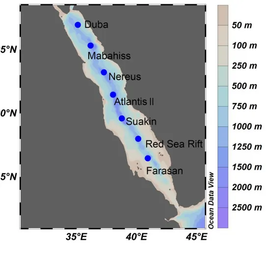 Figure 1: Sampling locations in the Red Sea. At the Nereus deep, only physical and chemical  623 