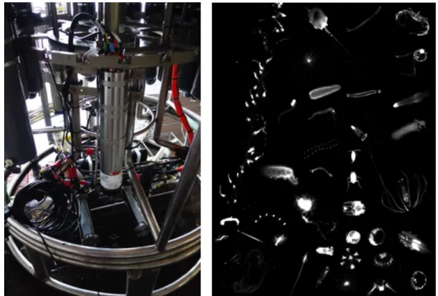 Fig. 5.5:   The Underwater Vision Profiler and first plankton images. (left) UVP mounted on the CTD  rosette and (right) image collection of organisms