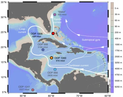 Fig. 1 Study area and sample sites. Locations and water depths of Ocean Drilling Program (ODP) Sites from which the new data were obtained (1000 and 1006) and of other sites referred to in this study (ODP 998, 999 and 1241, Blake crust)