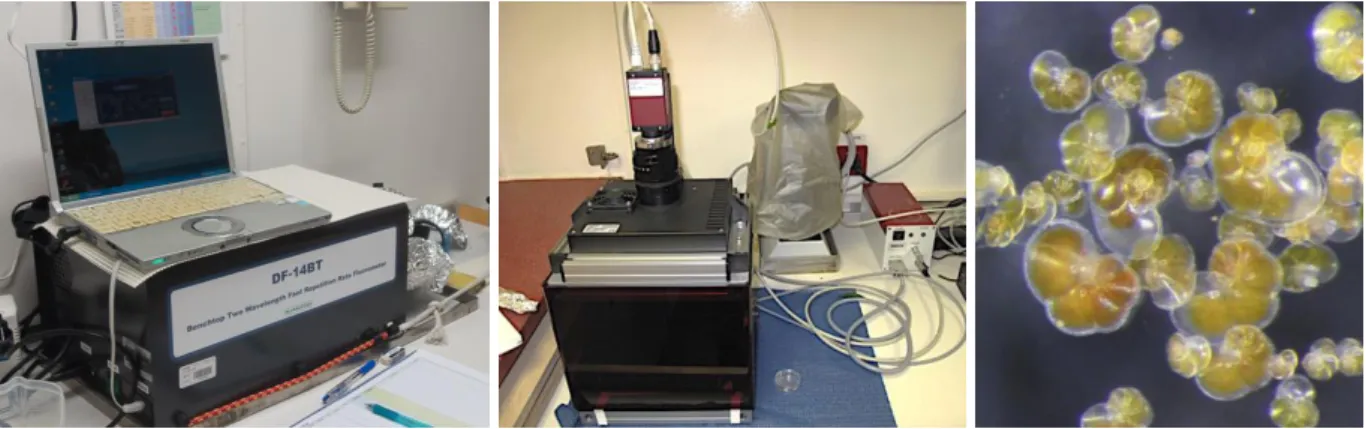 Figure 5.9: FRR fluorometer (left) and PAM fluorometer (middle), used during the cruise