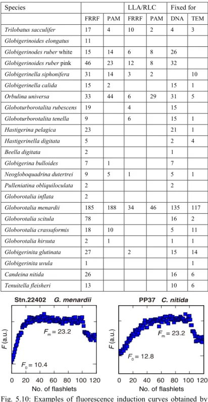 Table 5.3: Summary of species and specimens of planktonic foraminifera  analyzed for symbiont photophysiology (FRR and PAM fluorometers) and  fixed for TEM and DNA analysis