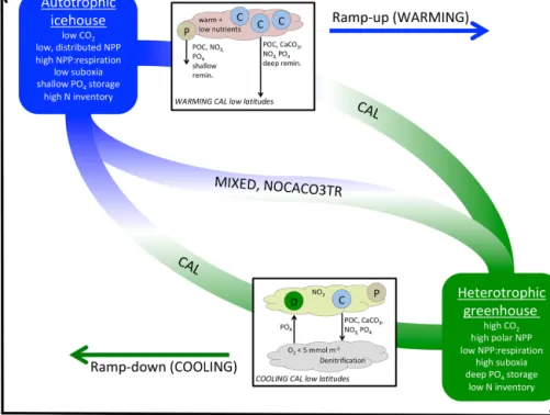 Figure 6. A qualitative depiction of biogeochemical controls of calcifiers in WARMING and COOLING simulations