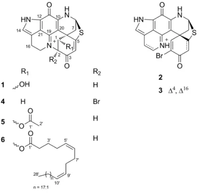 Figure 3. Chemical structures of compounds 1–6. 