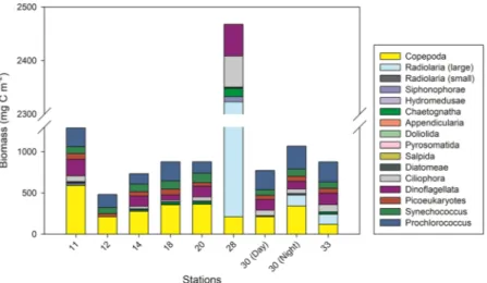 Figure 4.  Marine snow composition based on 18S rRNA gene sequencing. (a) The average composition of  31 marine snow particles