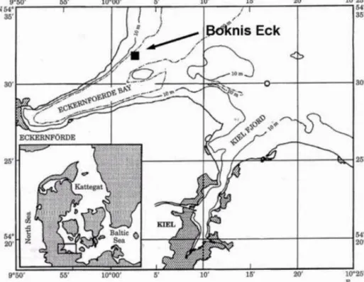 Figure 1. Location of the Boknis Eck Time Series Station in the Eckernförde Bay, southwestern Baltic Sea