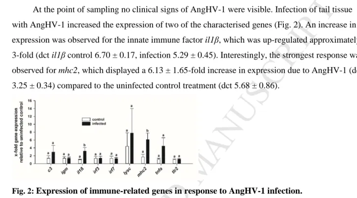 Fig. 2:  Expression of immune-related genes in response to AngHV-1 infection.  