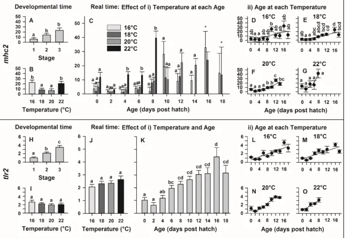 Fig. 4: Gene expression of mhc2 and tlr2 in European eel (Anguilla anguilla) larvae reared 388 