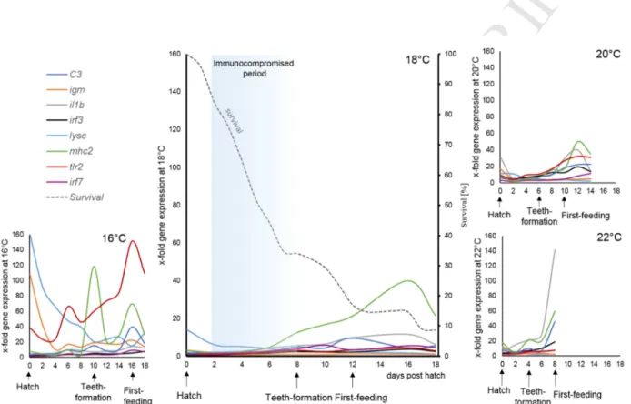 Fig. 7: Conceptual overview - Immunocompromised window during development of 668 