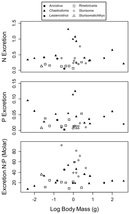 Figure 3. Excretion rates (mg L −1  hr −1 ) and N:P ratio as a function of body mass for the two subfamilies  of Loricariidae measured in this study