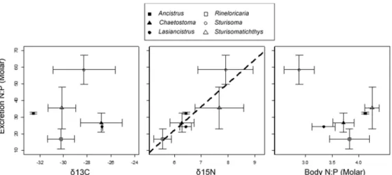 Figure 4. Relationships between excretion N:P and δ 13 C,  δ 15 N, and body N:P among species of  Panamanian loricariids