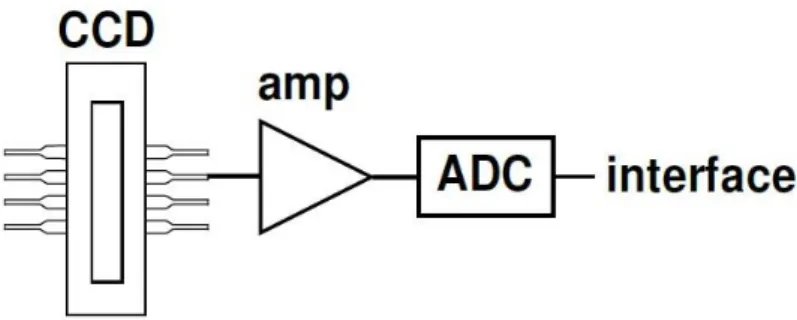 Figure  2.  Simplified  diagram  of  the  basic  internal  circuit  that  connects  the  charge-coupled  device  (CCD)  line  with  the  interface  (RS232  or  USB)  of  the  computer