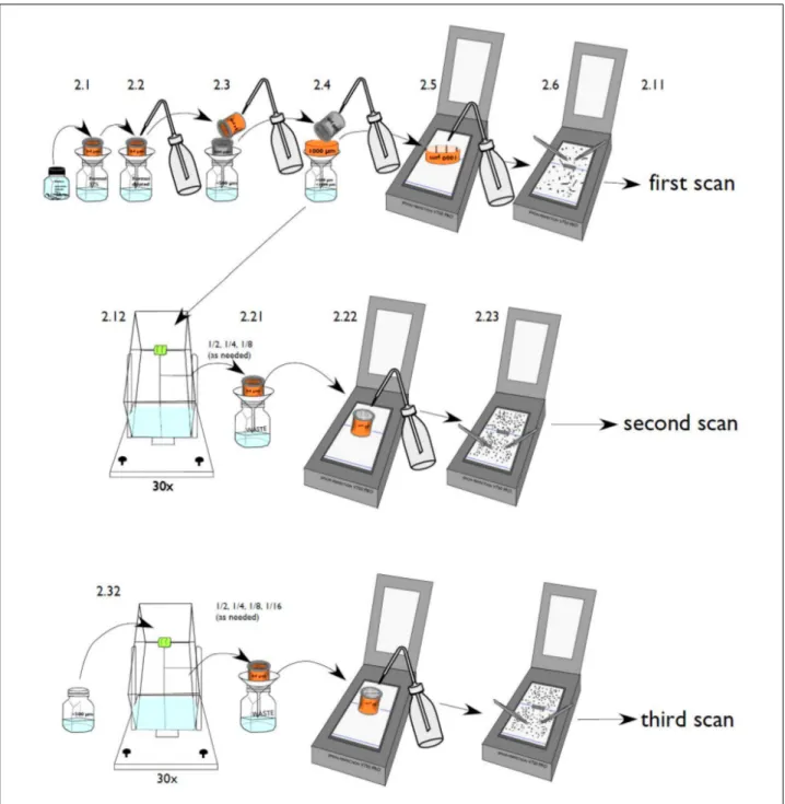 Fig. 6  Schematic presentation of sample preparation and handling for scanning (taken from Christiansen, 2013)