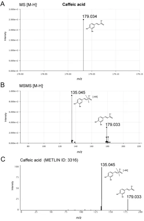 Figure  S8.  Targeted  MS/MS  identification  of  caffeic  acid.  (A)  Caffeic  acid  (3,4-dihydroxy  cinnamic  acid)  was  detected  by  UHPLC-QTOF-MS  in  negative  ionization  mode  as  ion  m/z  [M-H] -  179.034 (C 9 H 7 O 4 ) at a retention time of 3.