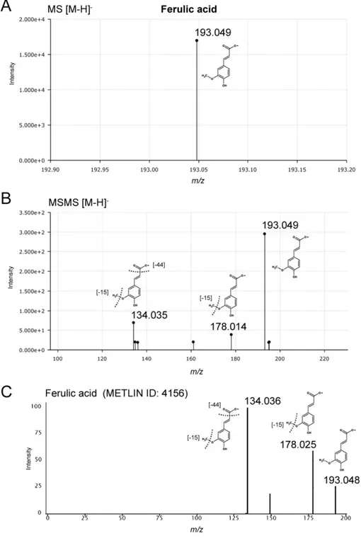 Figure  S9.  Targeted  MS/MS  identification  of  ferulic  acid.  (A)  Ferulic  acid  was  detected  by  UHPLC-QTOF-MS  in  negative  ionization  mode  as  ion  m/z  [M-H] -   193.049  (C 10 H 9 O 4 )  at  a  retention time of 4.3 min